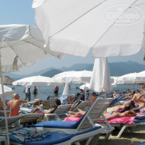 фото из отзыва ID 386593