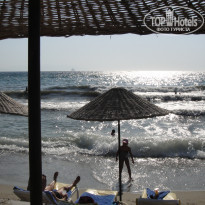 фото из отзыва ID 386882