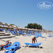 фото из отзыва ID 386565