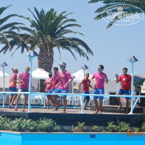 фото из отзыва ID 386565