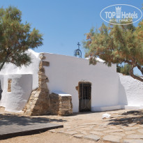 фото из отзыва ID 386565