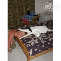 фото из отзыва ID 38758