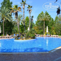 фото из отзыва ID 387014