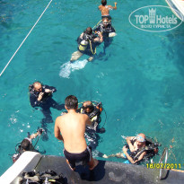 фото из отзыва ID 387051