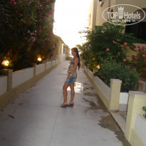 фото из отзыва ID 387137