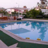 фото из отзыва ID 387150