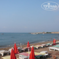 фото из отзыва ID 387150