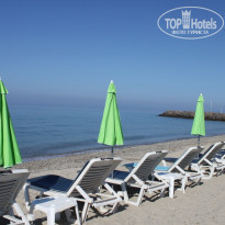 фото из отзыва ID 387216