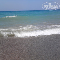 фото из отзыва ID 387257