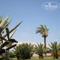 фото из отзыва ID 387301