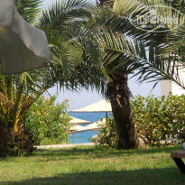 фото из отзыва ID 387301