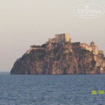 фото из отзыва ID 387324