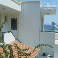 фото из отзыва ID 387340