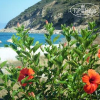 фото из отзыва ID 387340