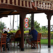 фото из отзыва ID 387368