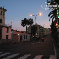 фото из отзыва ID 387434