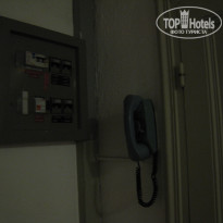 фото из отзыва ID 387434