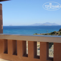 фото из отзыва ID 387564