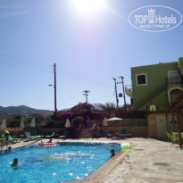 фото из отзыва ID 387600