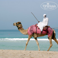 фото из отзыва ID 387769