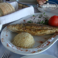 фото из отзыва ID 387908