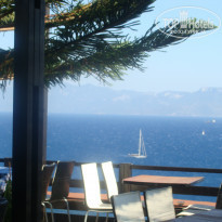 фото из отзыва ID 387908