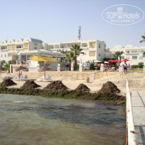 фото из отзыва ID 387946