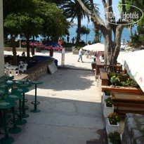 фото из отзыва ID 387773