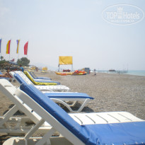 фото из отзыва ID 388190