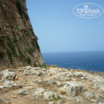 фото из отзыва ID 388257