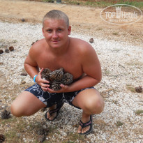 фото из отзыва ID 388269