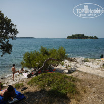 фото из отзыва ID 388302