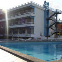 фото из отзыва ID 388348