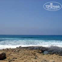 фото из отзыва ID 388385