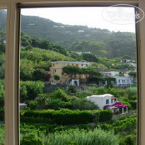 фото из отзыва ID 388387