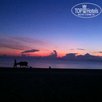 фото из отзыва ID 388601