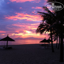 фото из отзыва ID 388601