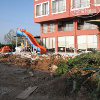 фото из отзыва ID 388520