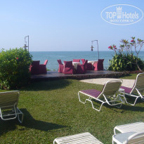 фото из отзыва ID 389234