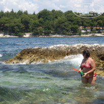 фото из отзыва ID 389360