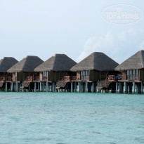 фото из отзыва ID 389896