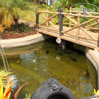 фото из отзыва ID 390146