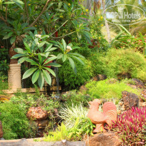 фото из отзыва ID 390146