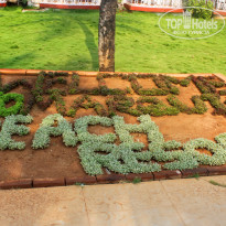 фото из отзыва ID 390146