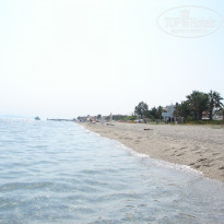 фото из отзыва ID 390224