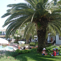 фото из отзыва ID 390224