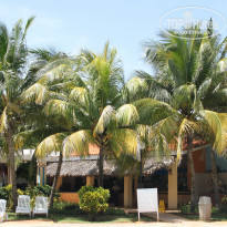 фото из отзыва ID 390378