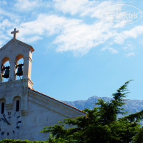 фото из отзыва ID 390583