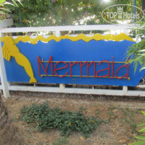 фото из отзыва ID 390757