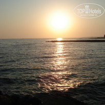 фото из отзыва ID 390934